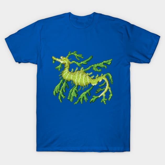 Leafy Sea Dragon T-Shirt by ZioCorvid